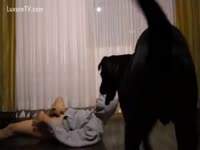 [ Pet XXX ] Naughty stud needs some loving from his dark mutt